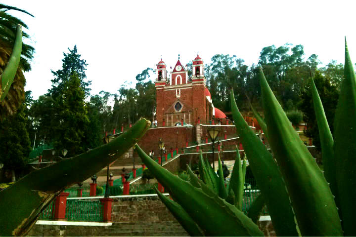 Iglesia del Calvario, árbol de la vida. Foto Gustavo Miranda