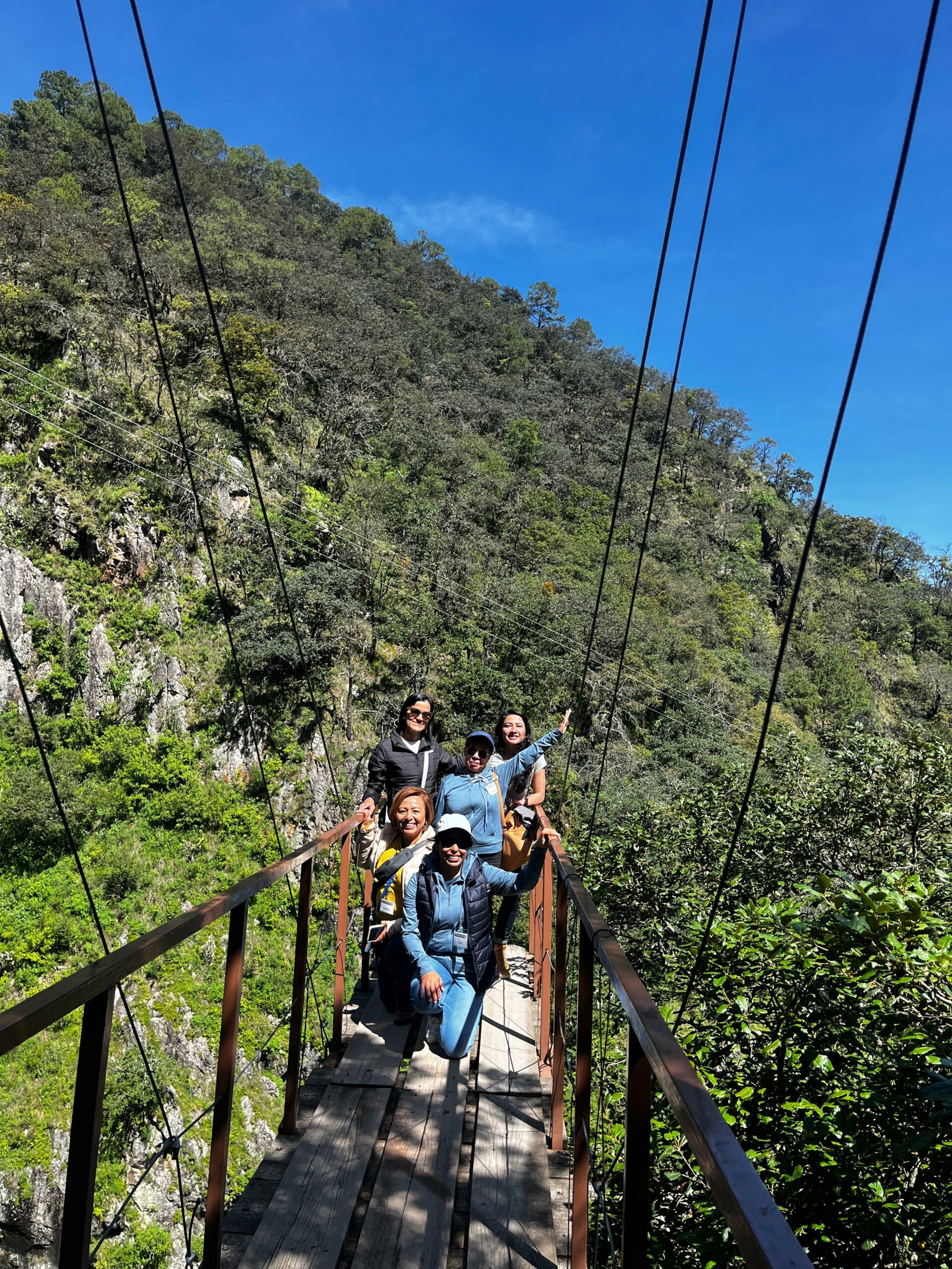 224c73d2-57e6-402b-9cab-a72c4dc684be