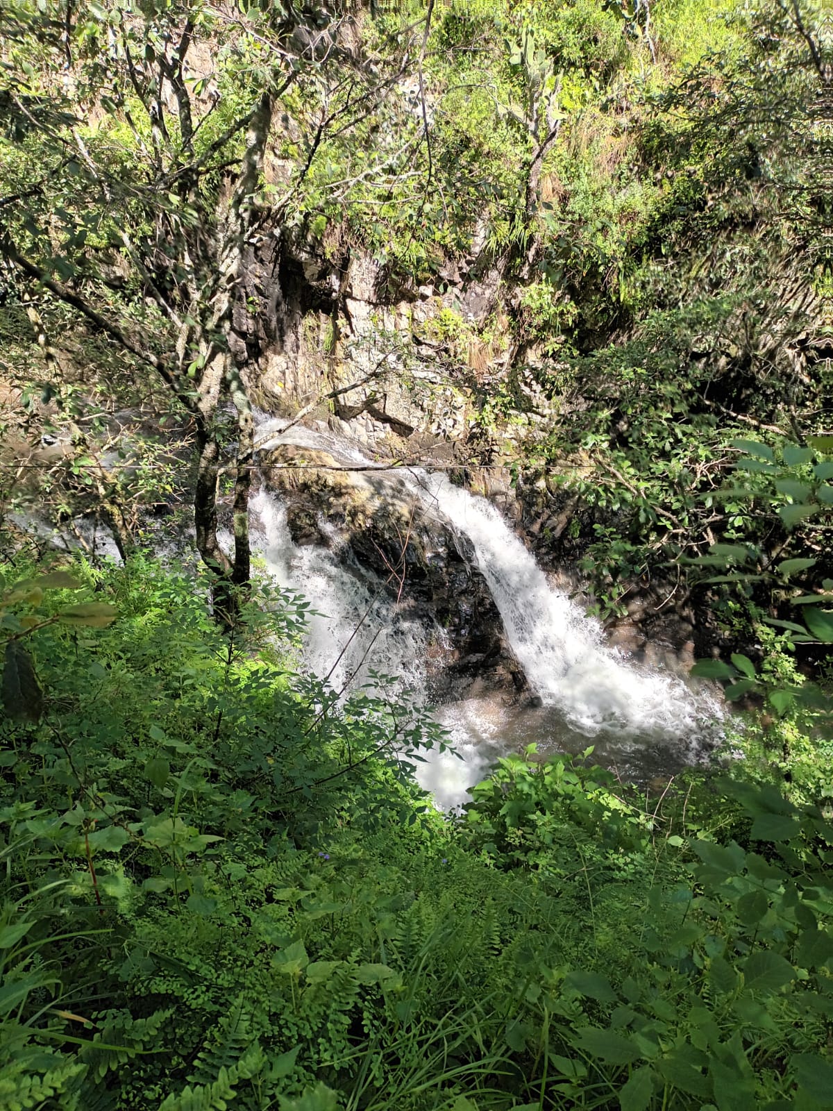 3cfbe8c8-c595-46ab-9f99-c8142f82a582