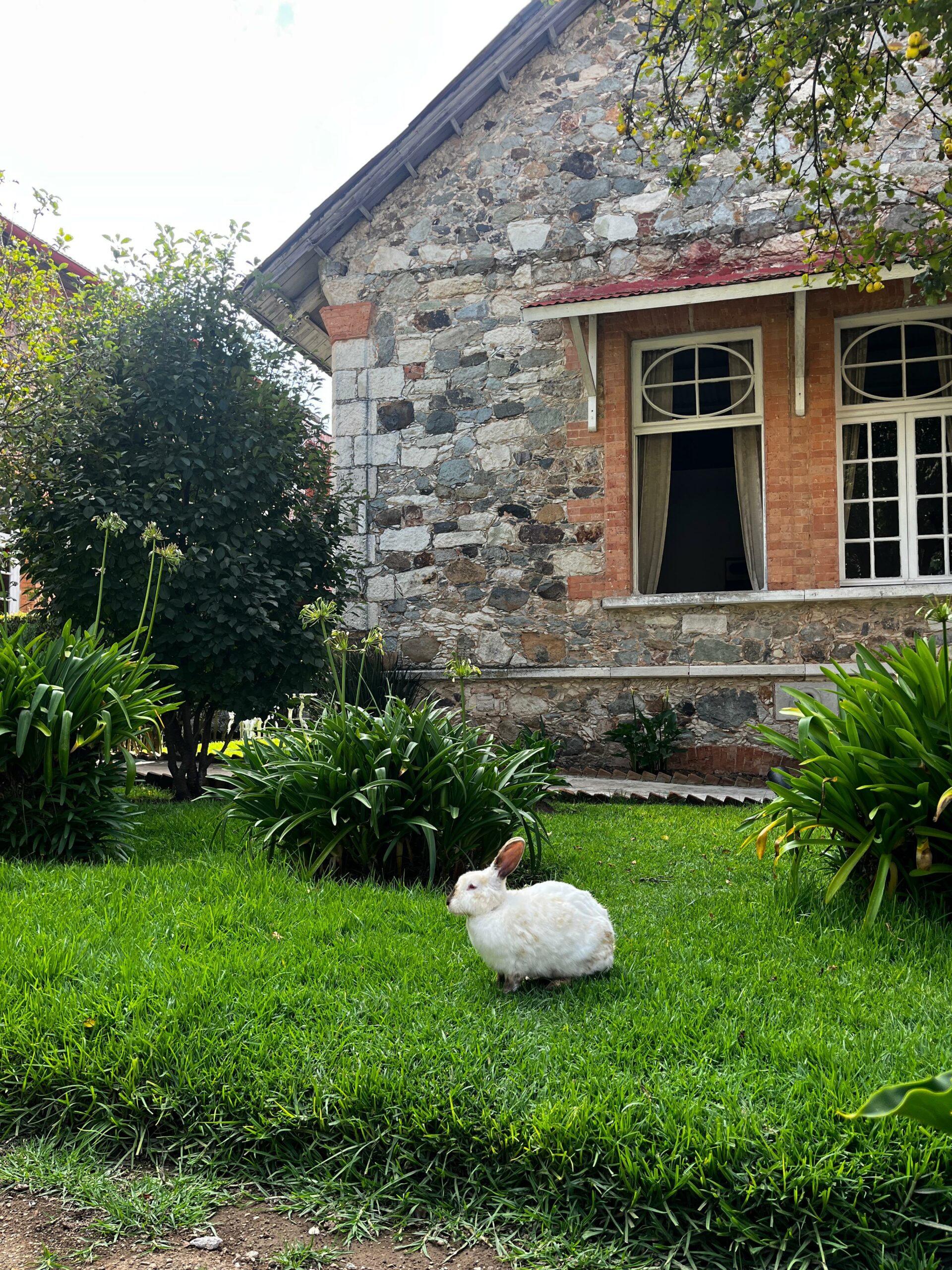 575e4287-ce4f-4623-8a67-356e32f81d8a