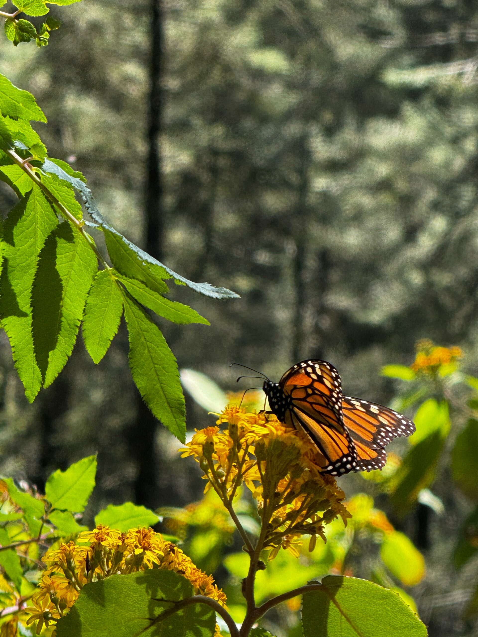 WhatsApp Image 2026-02-08 at 11.28.49